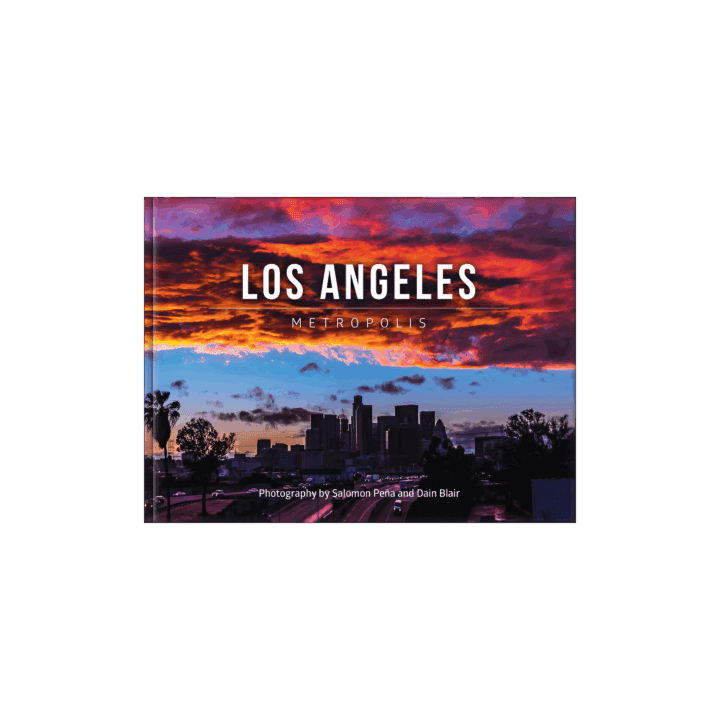 Los Angeles Metropolis Book Cover