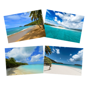 Ocean - Aqua 103 Notecards