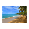 Ocean - Aqua 103A Notecard