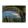 Ocean - Laguna 105B Notecard