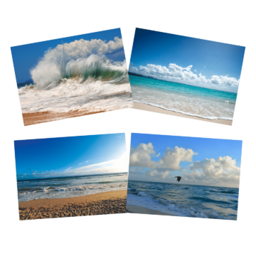 Ocean - Ocean 102 Notecards