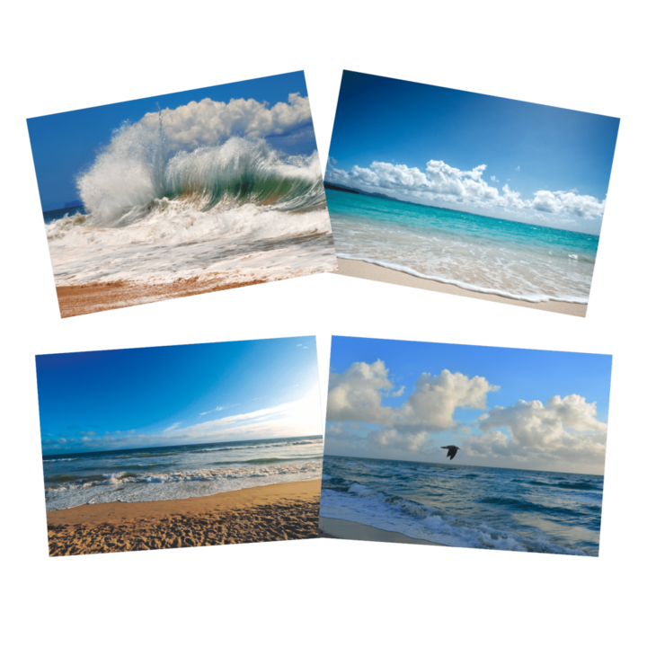 Ocean - Ocean 102 Notecards