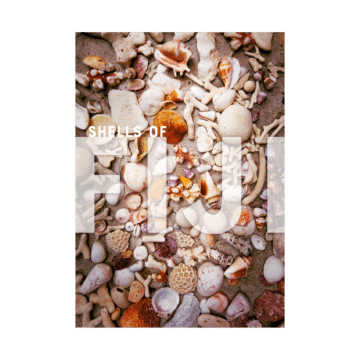 Shells of Fiji Journal Cover
