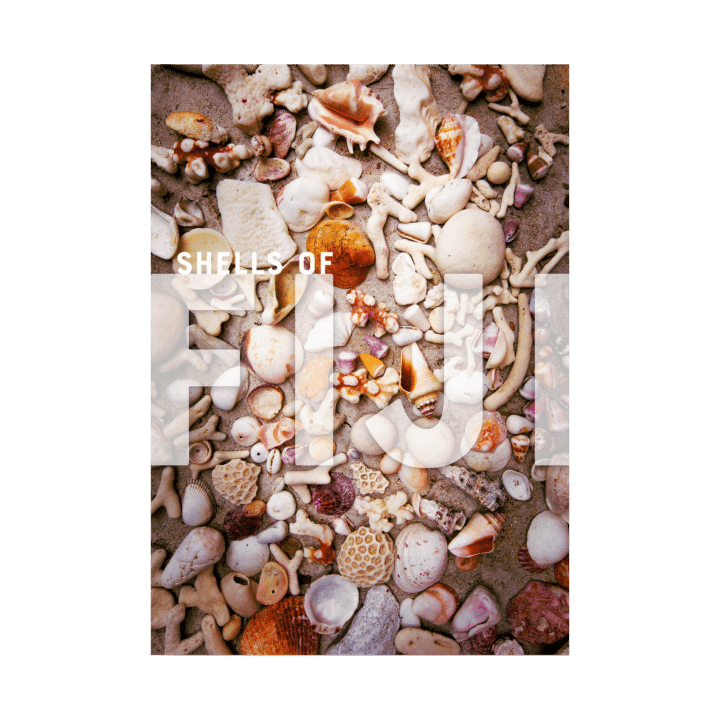 Shells of Fiji Journal Cover